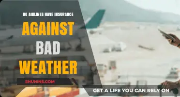 Do Airlines Have Insurance Against Bad Weather? Here's What You Need to Know