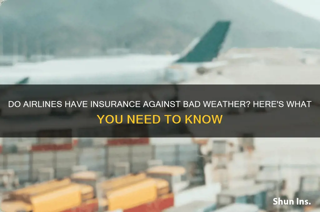 do airlines have insurance against bad weather