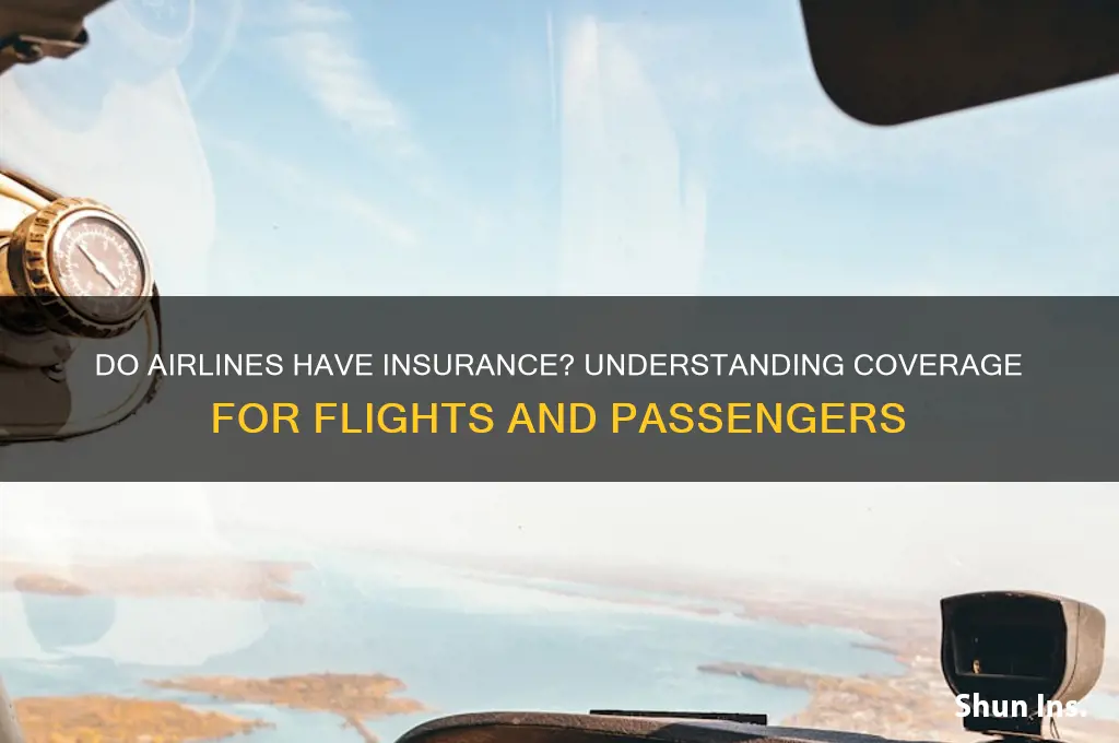 do airlines have insurance