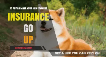 Akitas and Home Insurance: What You Need to Know