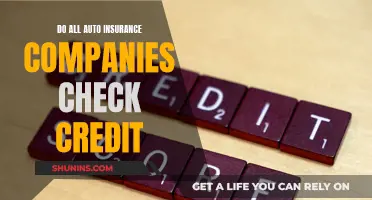 Credit Checks: A Necessary Evil for Auto Insurance Companies?