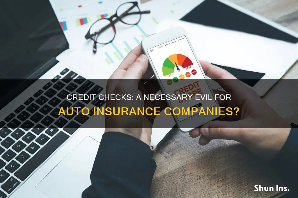 do all auto insurance companies check credit