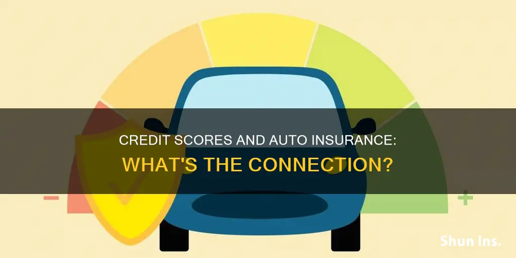 do all auto insurances use credit scores