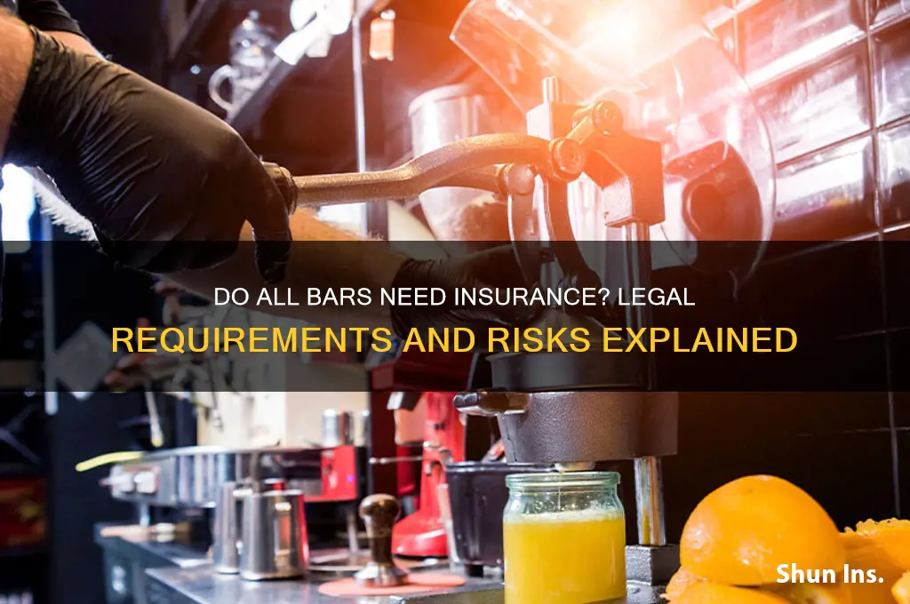 do all bars have to have insurance