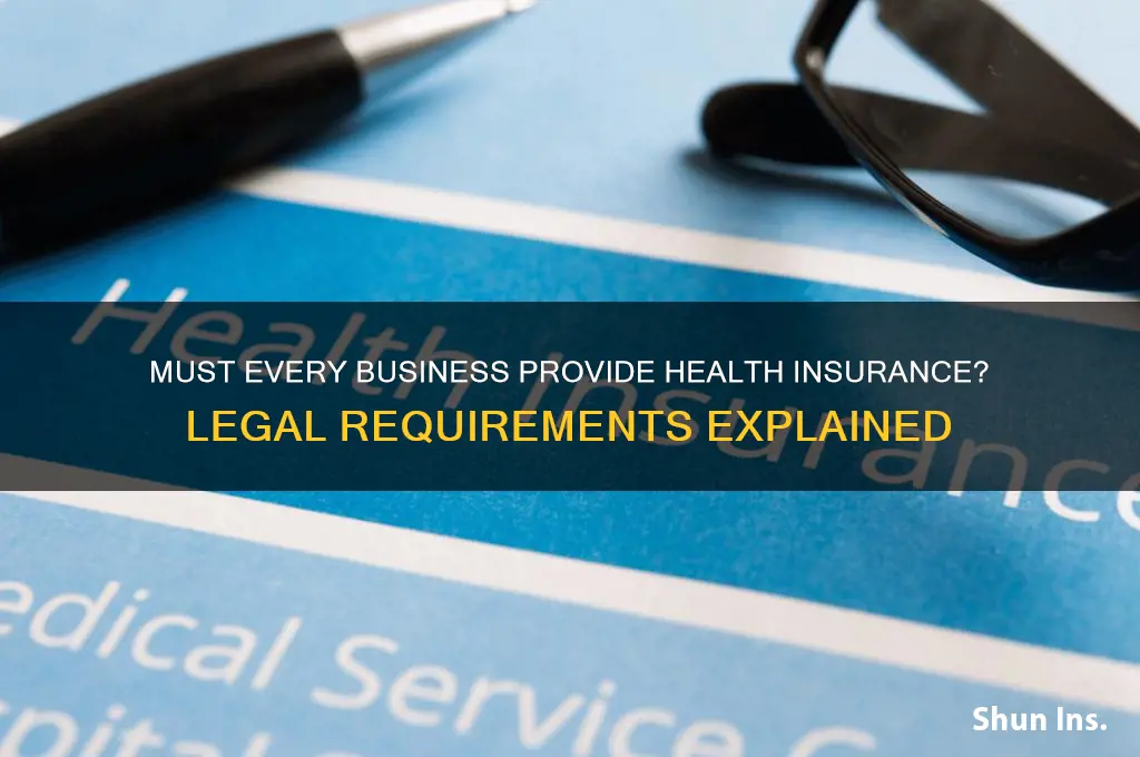 do all business have to supply health insurance