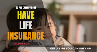 Credit Union Members: Life Insurance Coverage and Benefits