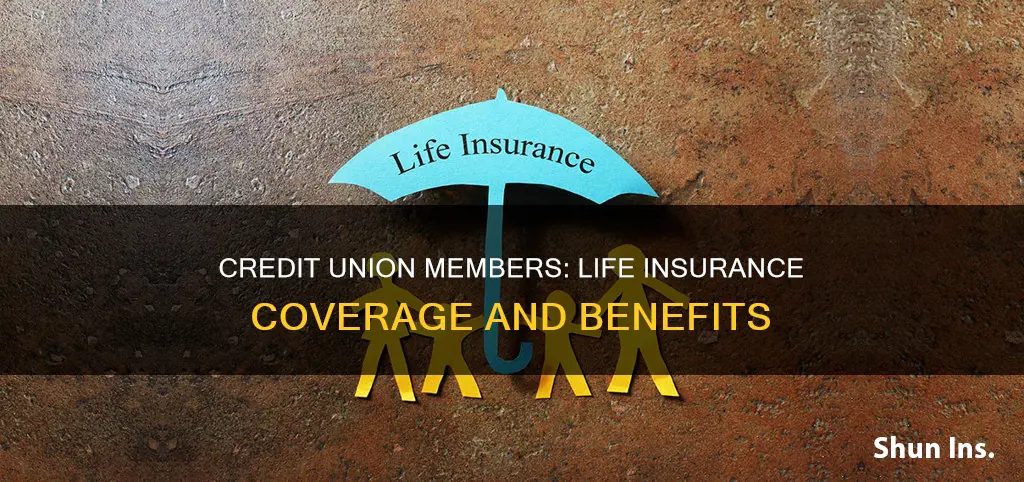 do all credit unions have life insurance