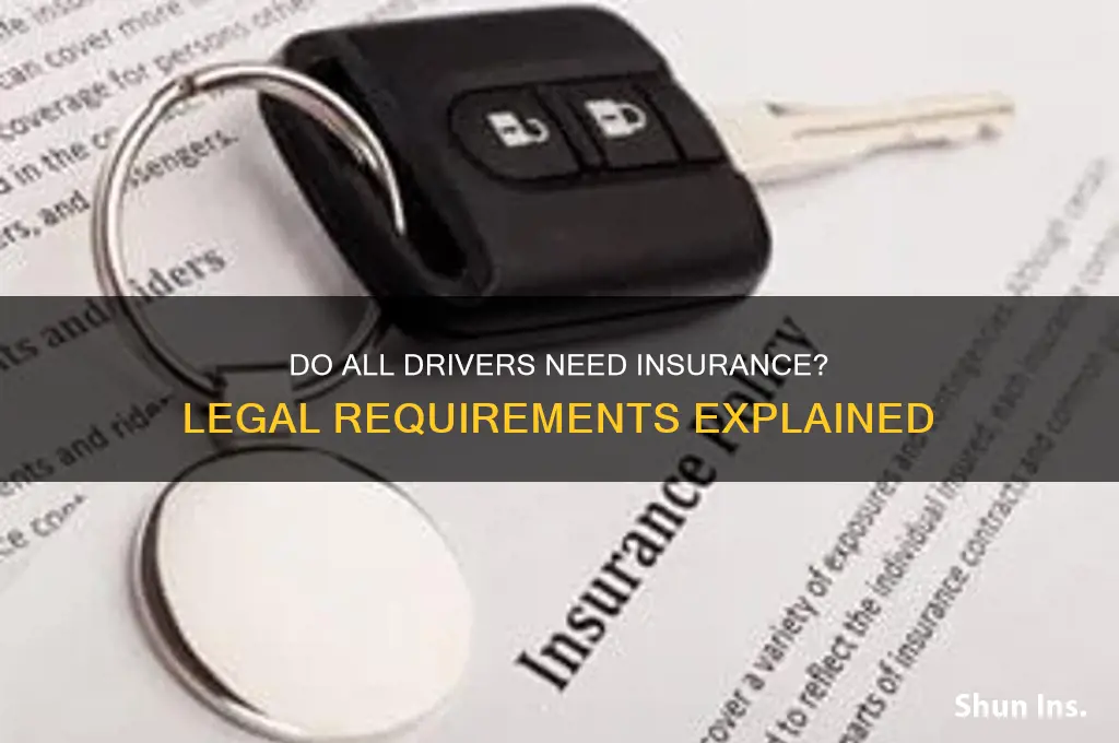 do all drivers have to be insured