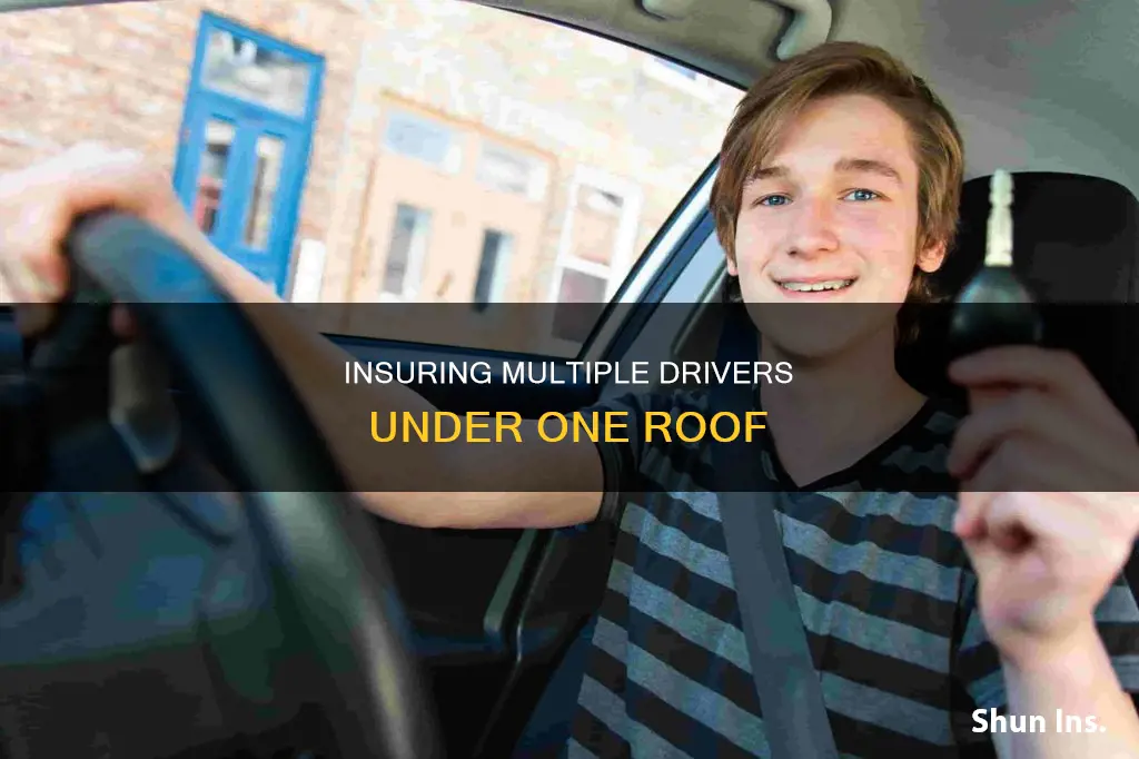 do all drivers in a house have to be insured