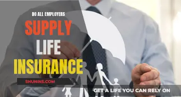 Life Insurance: Who's Responsible, You or Your Employer?