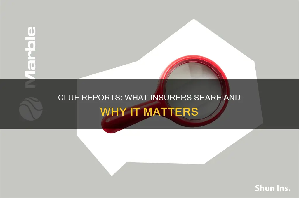 do all insurers report to clue