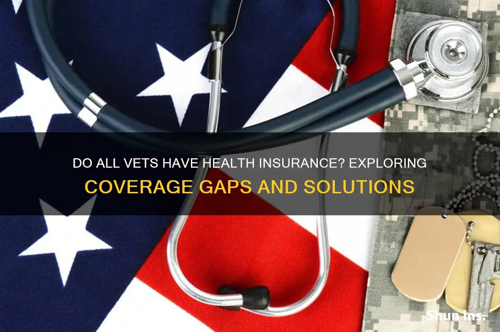 do all vets have health insurance