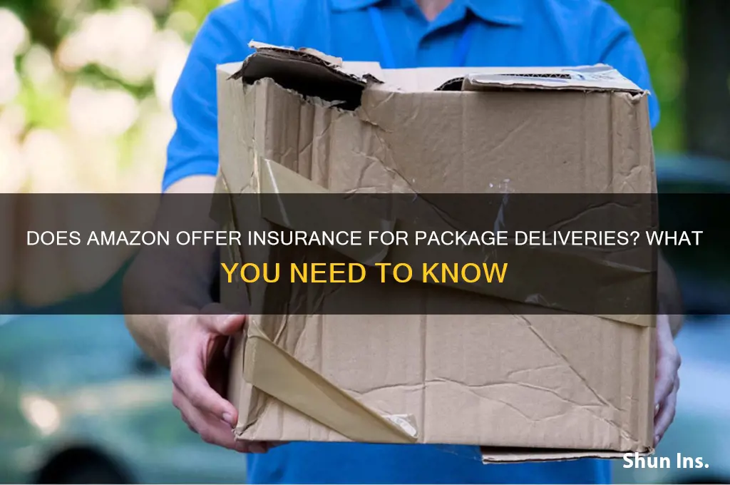 do amazon have insurance delivery