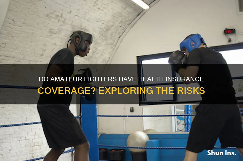 do ametuer fights have health insurance