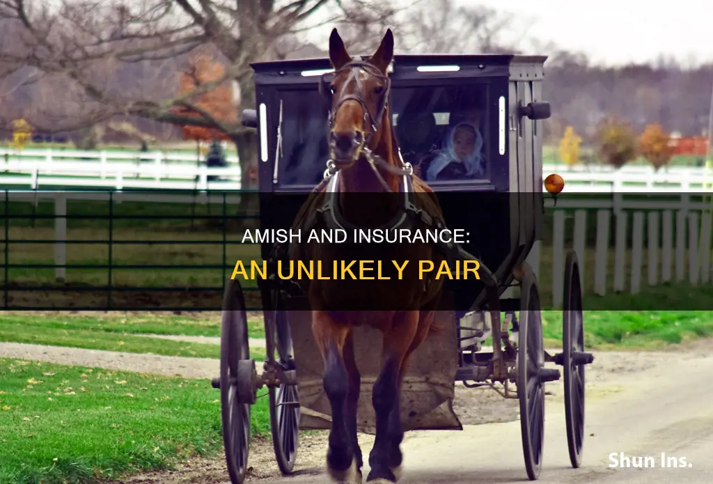 do amish carry insurance