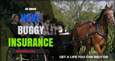 Amish Buggy Insurance: Understanding Coverage for Horse-Drawn Vehicles