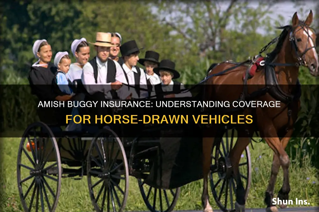 do amish have buggy insurance