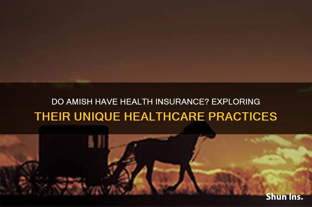 do amish have health insurance