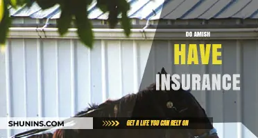 Do Amish Have Insurance? Exploring Their Unique Healthcare Practices
