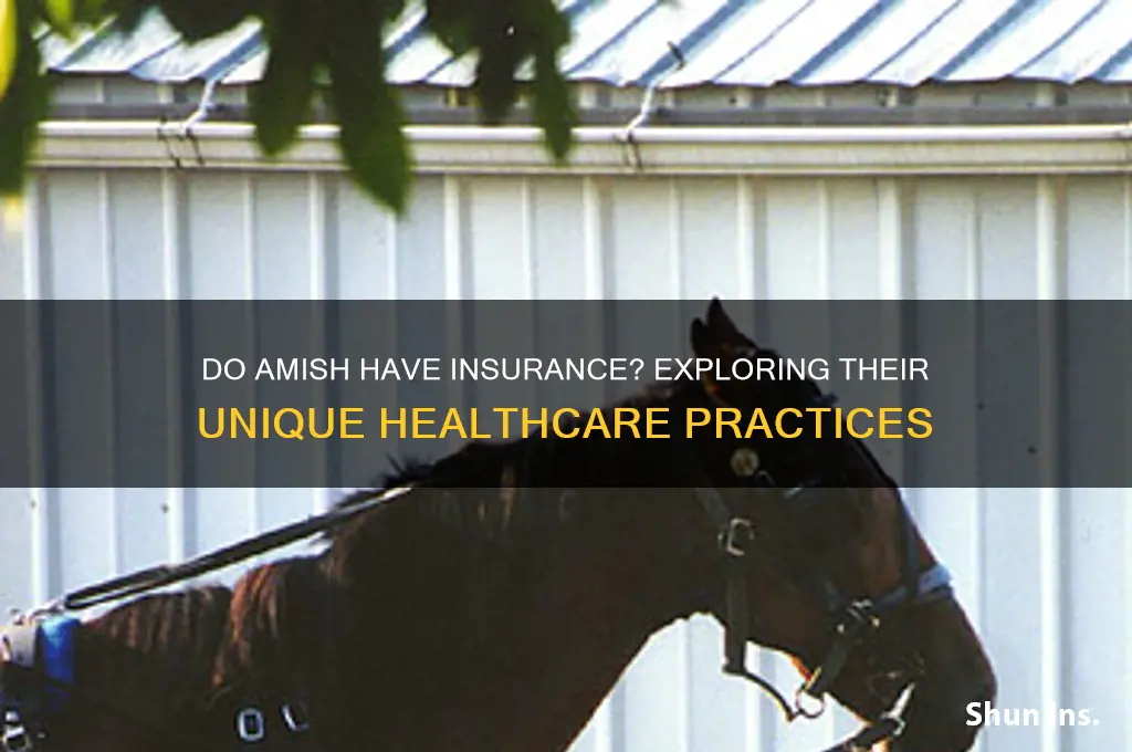 do amish have insurance