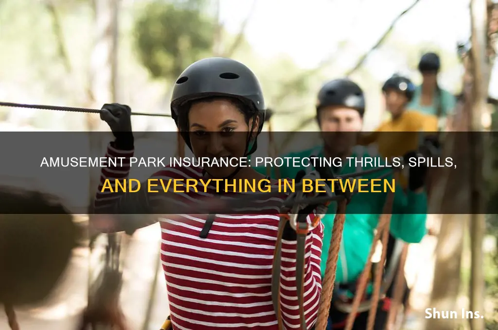 do amusement parks have insurance