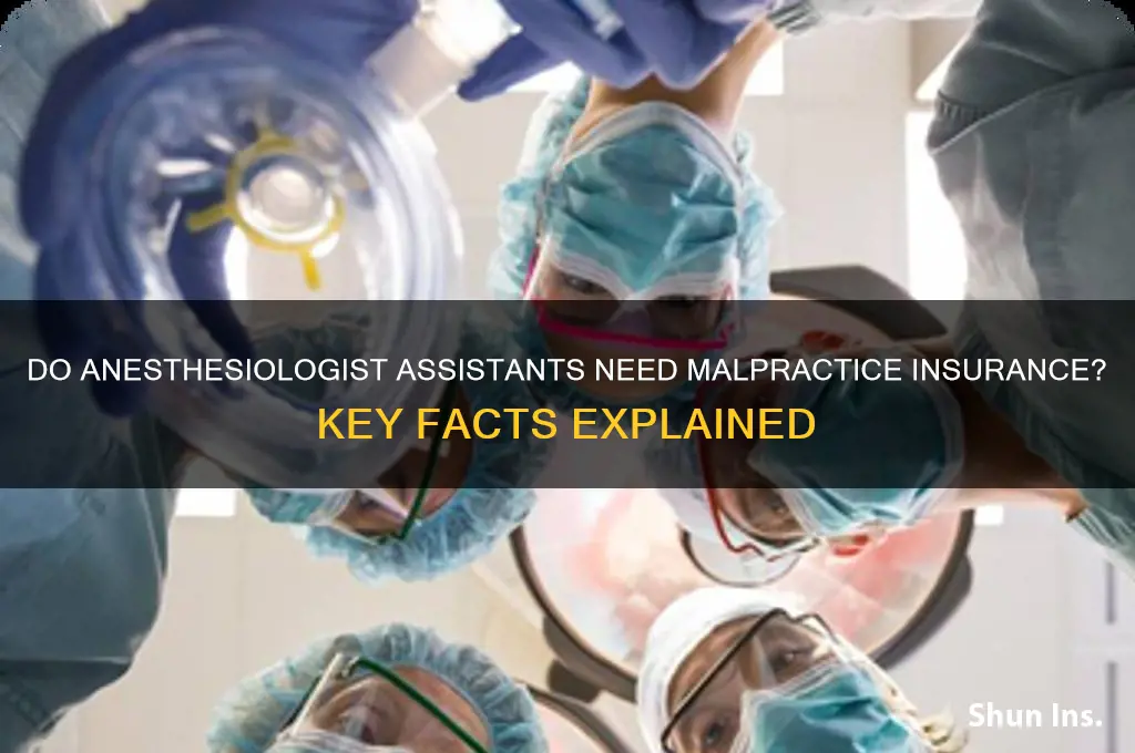 do anesthesiologist assistants have malpractice insurance