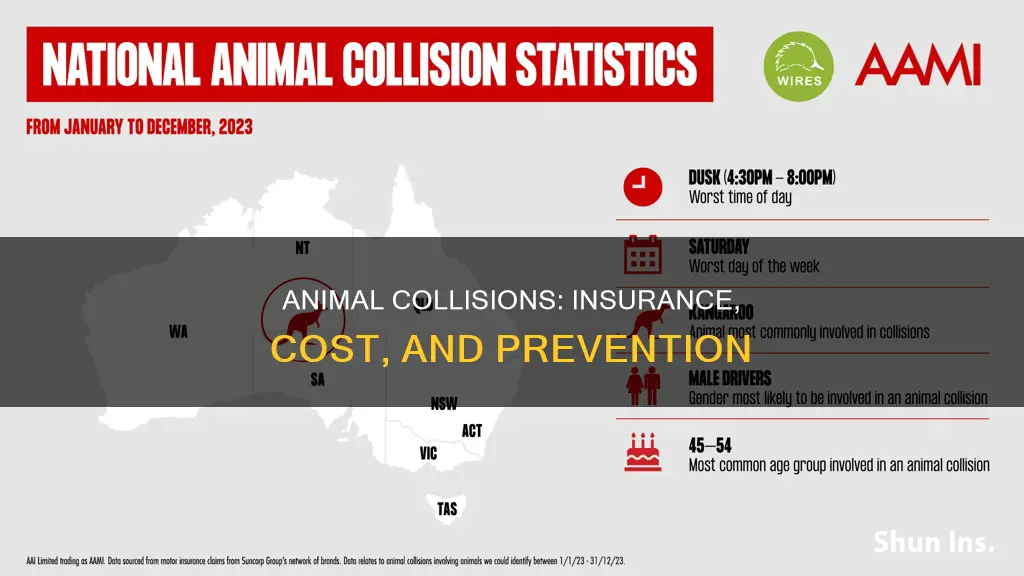 do animal collision affect insurance