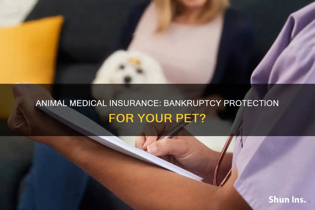 do animal medical insurances go bankruptcy