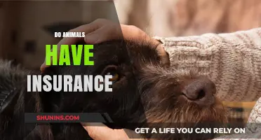 Do Animals Need Insurance? Exploring Pet Coverage and Wildlife Protection