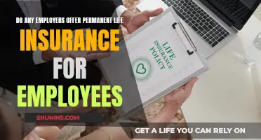 Life Insurance: What Employers Offer Permanently to Employees?