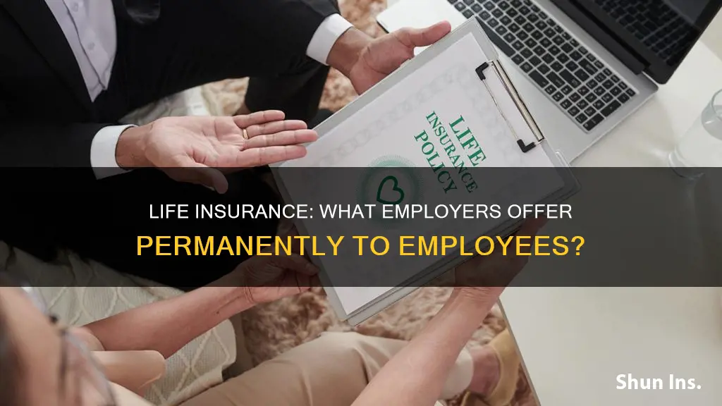 do any employers offer permanent life insurance for employees