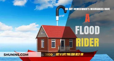 Homeowner's Insurance: Flood Coverage and Rider Options