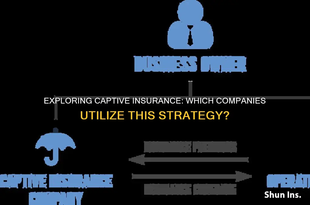 do any insurance comapnies have captives