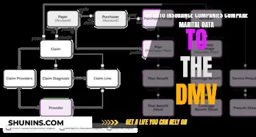 Marital Status and Car Insurance: The DMV Connection