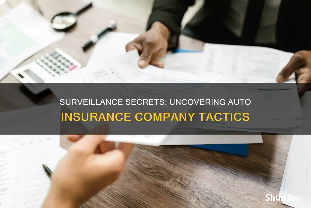 do auto insurance companies do surveillance