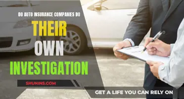 Auto Insurance Investigations: Who's Really in the Driver's Seat?