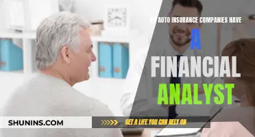 Auto Insurance and the Financial Analyst: An Industry Insight