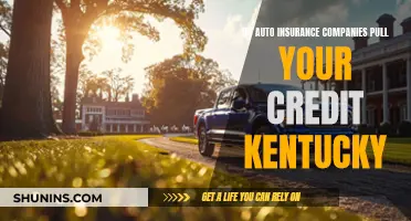 Credit Check Conundrum: Kentucky's Auto Insurance Credit Pull Practice