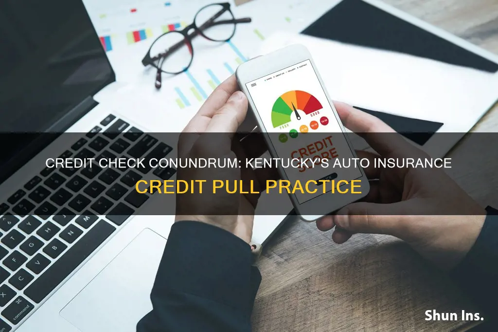 do auto insurance companies pull your credit kentucky