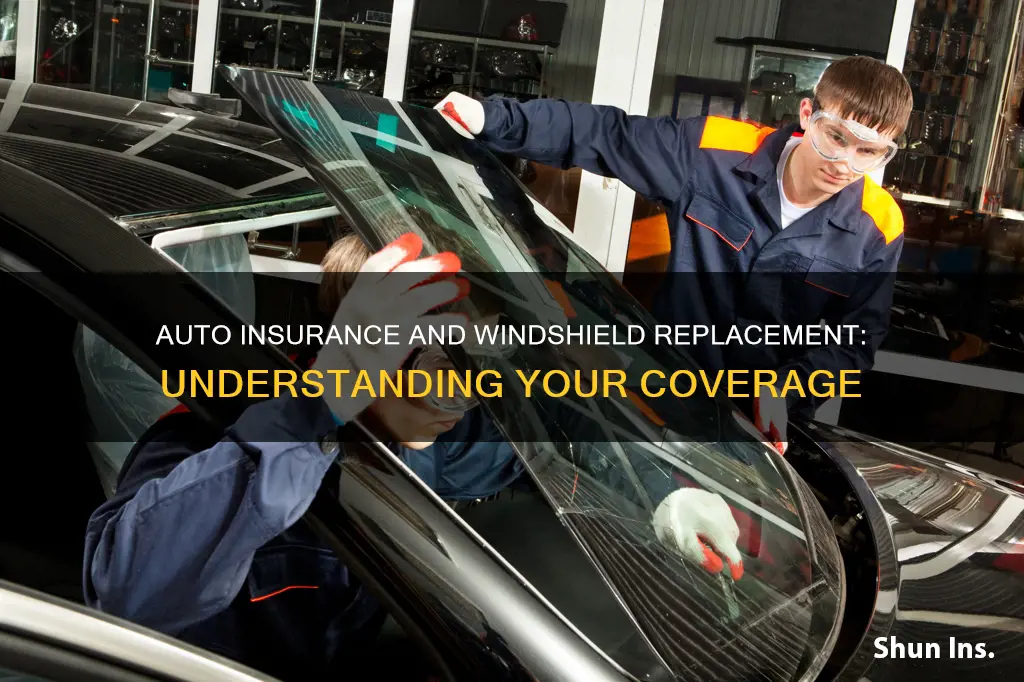 do auto insurance companies replace windshields