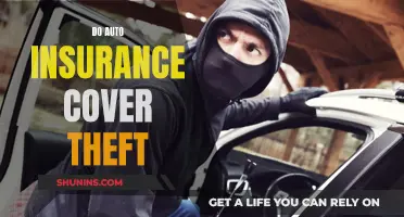 Auto Insurance and Theft: What You Need to Know