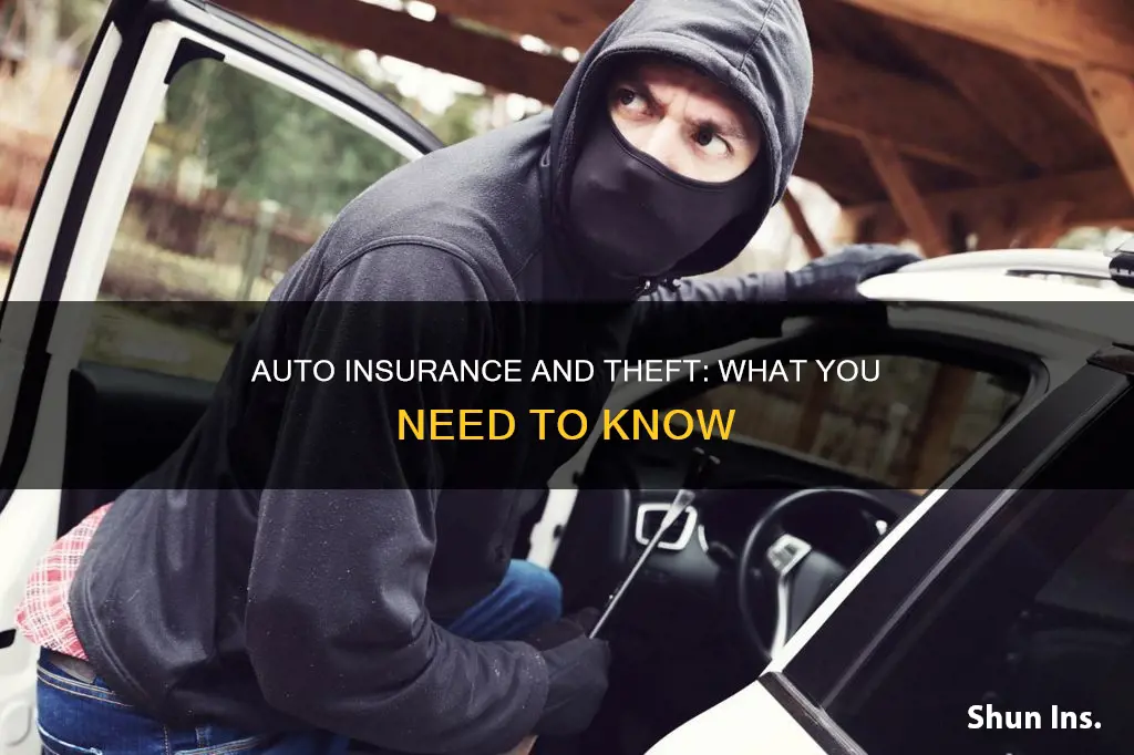 do auto insurance cover theft