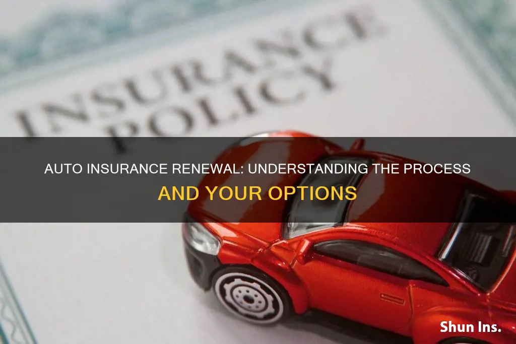 do auto insurance policies renew