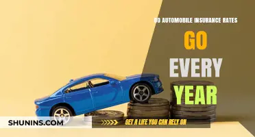 Automobile Insurance Rates: Do They Rise Yearly?