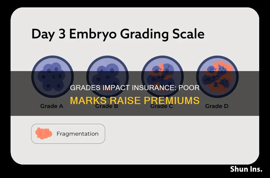 do bad grades affect insurance