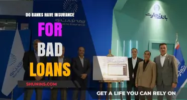 Banks' Insurance: What Happens to Bad Loans?