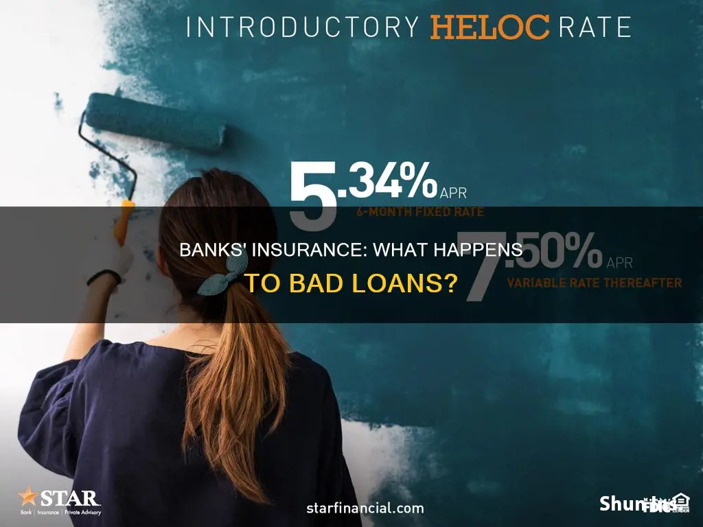 do banks have insurance for bad loans