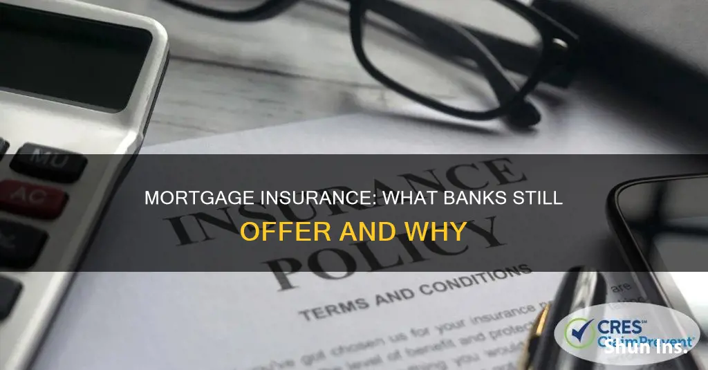 do banks still issue mortgage insurance
