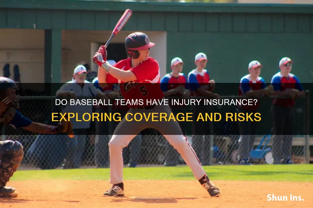 do baseball teams have injury insurance