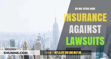 Urban Liability: Do Big Cities Have Insurance Against Lawsuits?